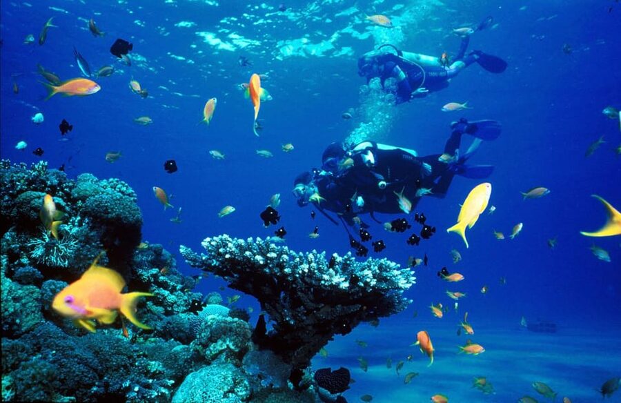Kemer Scuba Diving with Expert Diving Option - The first 10 to 15 minutes underwater