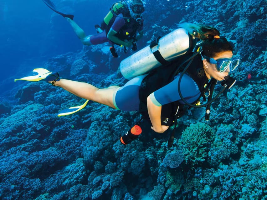 Kemer Scuba Diving with Expert Diving Option - The second site, with caves and reefs