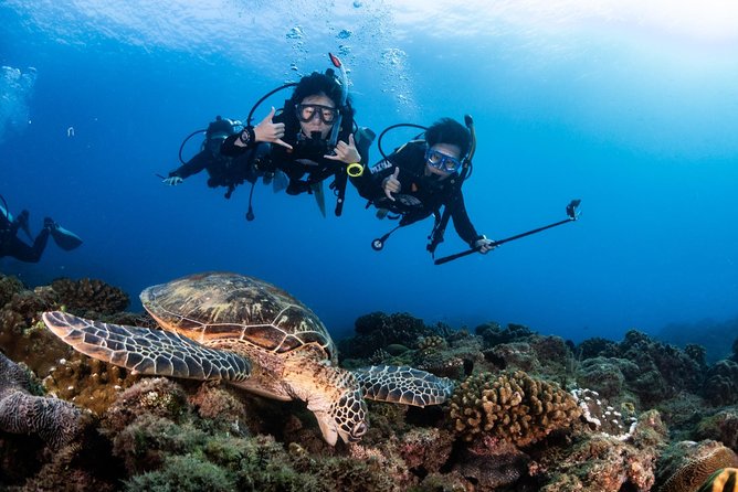 Kenting, Taiwan｜PADI Basic Diving License Course｜Taiwan Diving Open Water Course - Practical Preparation Before You Arrive