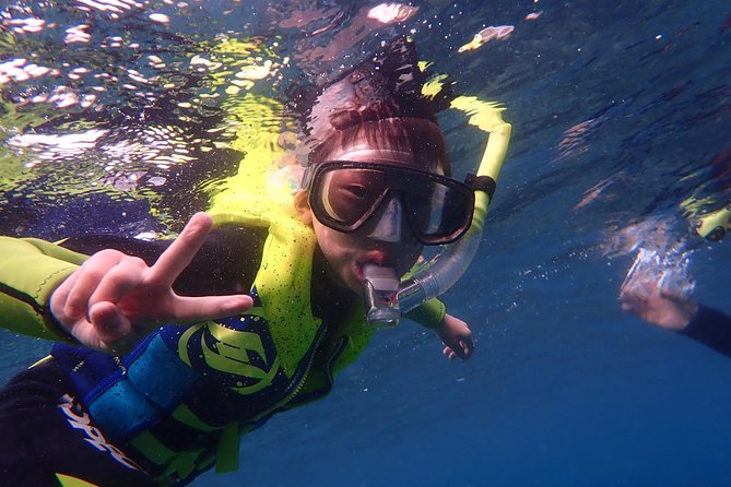 Kenting, Taiwan｜Snorkeling Free underwater photography One-on-one with instructor｜Taiwan Diving Snorkeling - What you may see below the surface