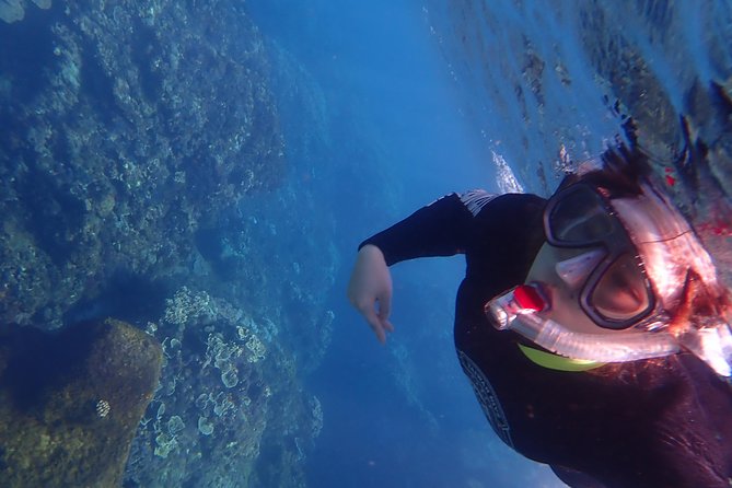 Kenting, Taiwan｜Snorkeling Free underwater photography One-on-one with instructor｜Taiwan Diving Snorkeling - Underwater photos and the certificate