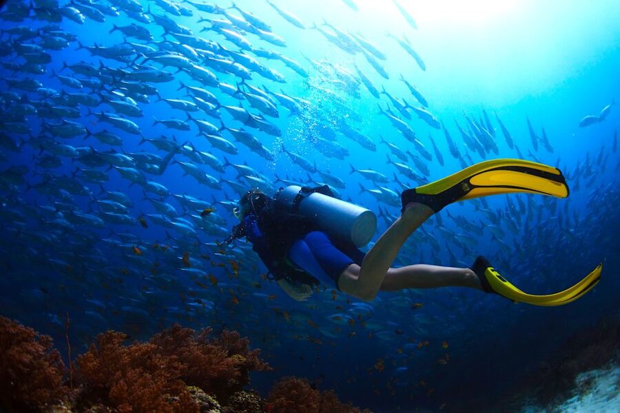 Ko Tao: Try Scuba Diving 1-Day Experience - Key points to know before booking