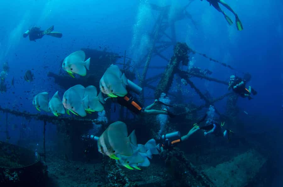 Koh Chang: 1-Day Dive Trip to Top Underwater Sites - What a full day on the water looks like