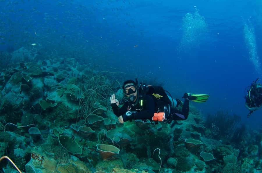 Koh Chang: 3-Day PADI Open Water Scuba Dive Course - Day one: pool training and your first underwater skills
