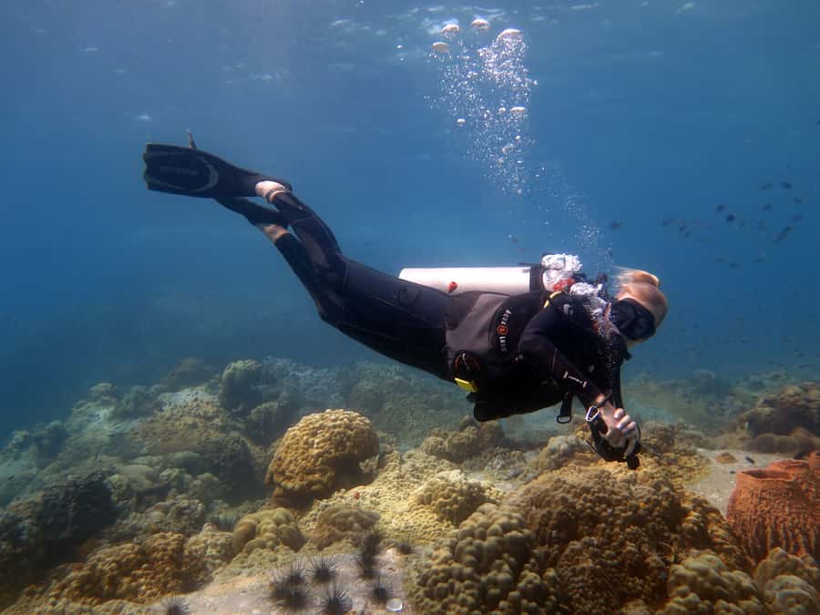 Koh Chang: 3-Day PADI Open Water Scuba Dive Course - Before arrival: finish the theory at your own pace