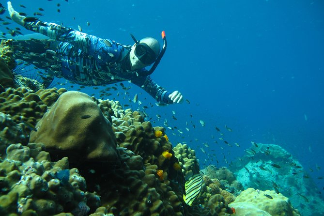 Koh Chang Freedive Trip ( Start at Koh Chang) - HTMS Chang, the day’s main attraction