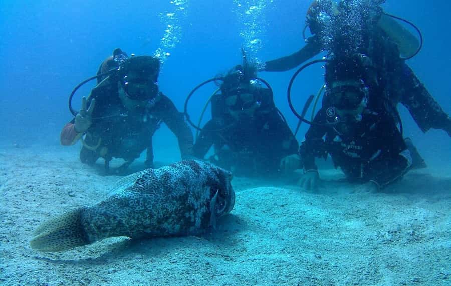 Koh Kood: Discover Scuba Diving for Beginners with 2 Dives - A Simple First Step Into Scuba