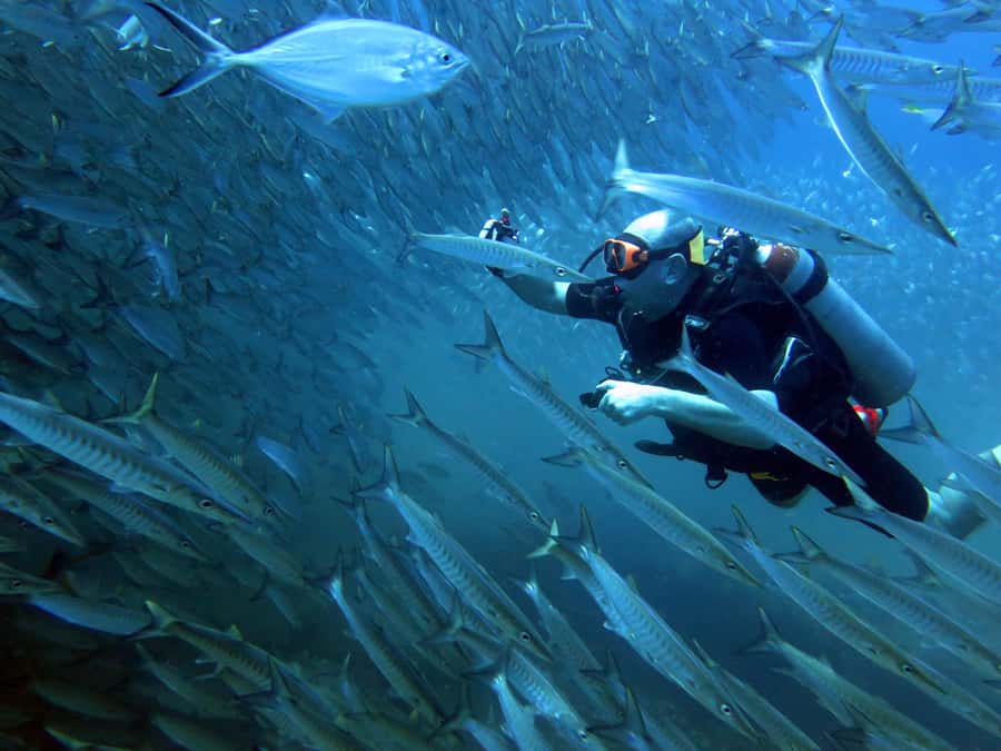 Koh Kood: Discover Scuba Diving for Beginners with 2 Dives - Two Reef Sessions Around Koh Kood