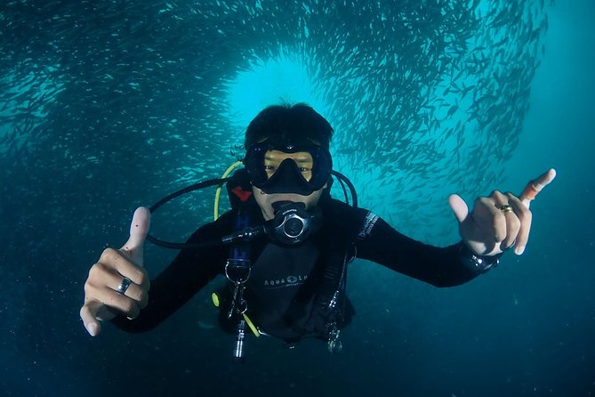 Koh Samui 2-Dive Trip to Sail Rock for certified divers - Transport, group size, and comfort