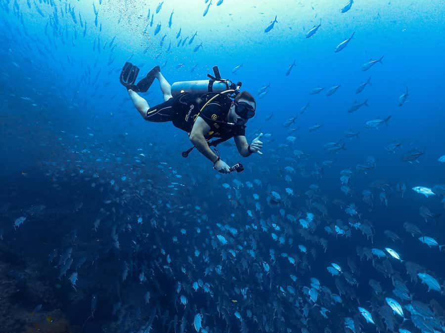 Koh Samui: 3-Day PADI Open Water Diver Course - What the three-day course actually involves