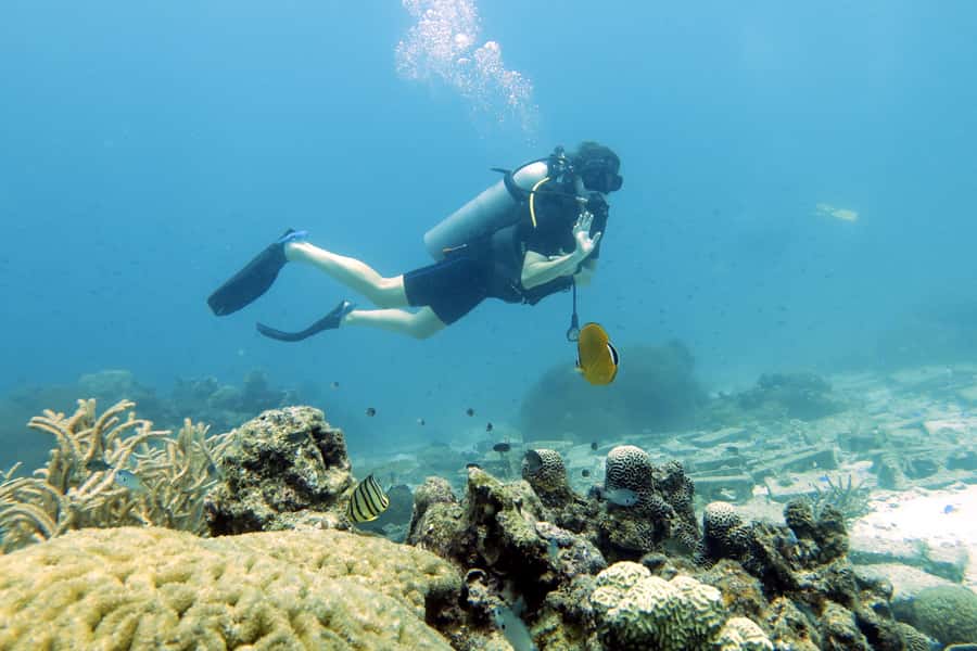 Koh Samui: Day Trip Diving at Sail Rock - Why Sail Rock is worth the trip from Koh Samui