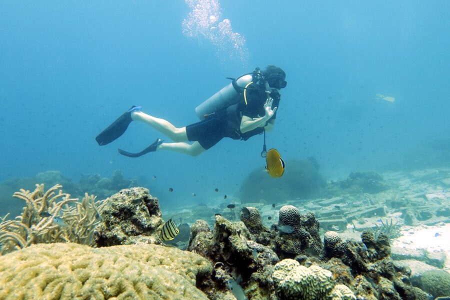Koh Samui: Day Trip Diving at Sail Rock - Is $186 a fair price?