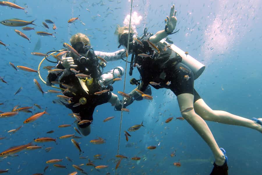 Koh Samui: Discover Scuba Diving - Learning the basic scuba skills