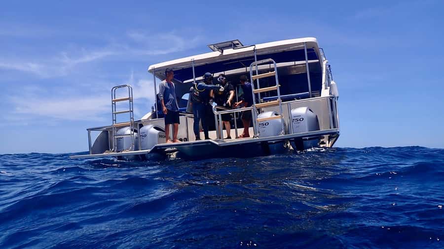 Koh Samui: Discover Scuba Diving - Mango Bay or Japanese Garden underwater
