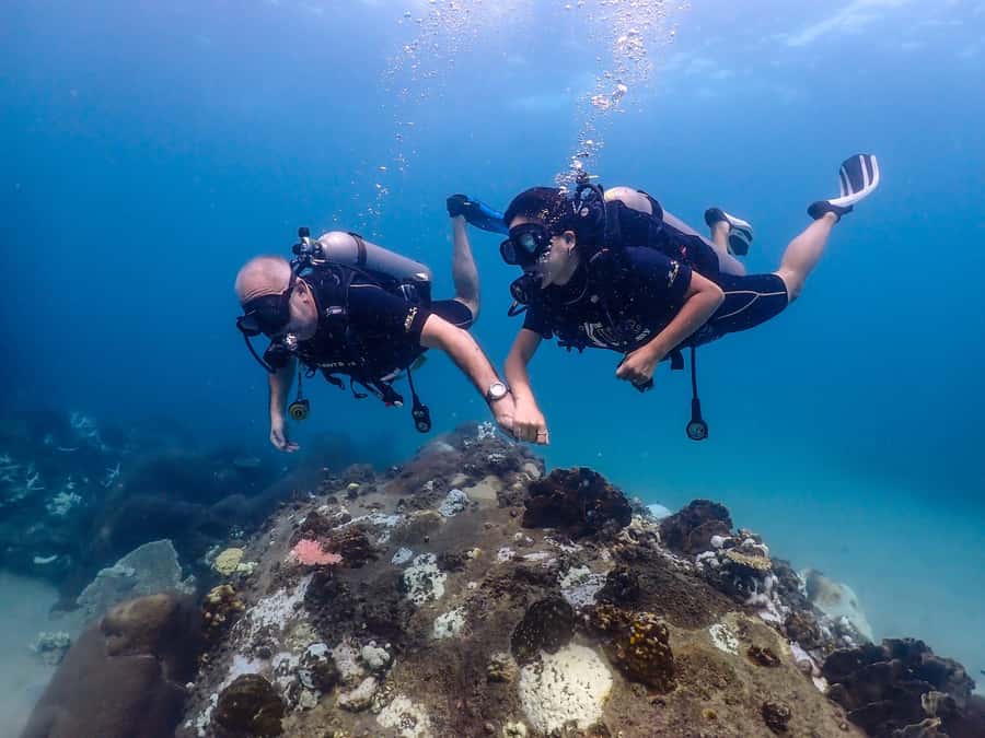 Koh Samui: Discovery Dive to Koh Tao or Sail Rock - Choosing between Koh Tao and Sail Rock