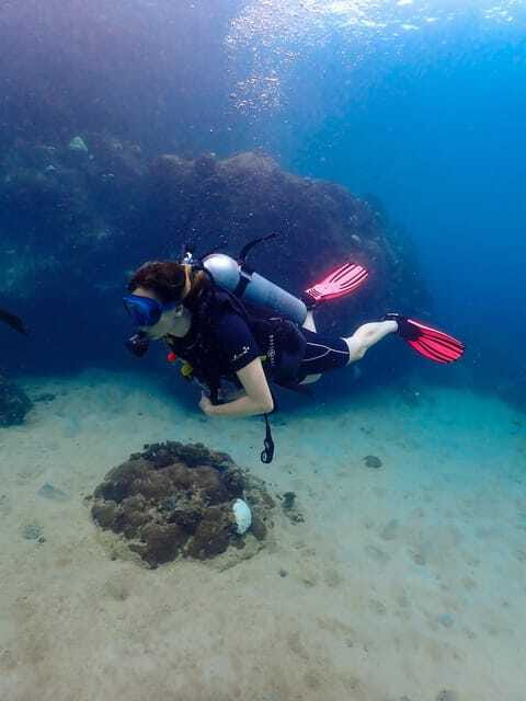 Koh Samui: Dive Tour to Koh Tao - Lunch in the Gulf of Thailand