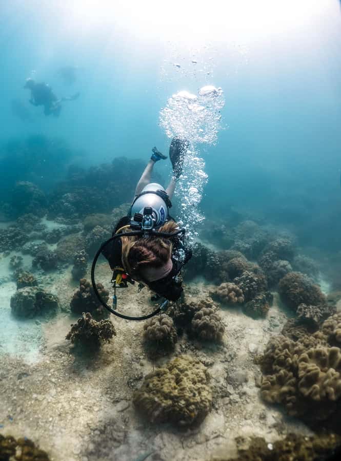 Koh Tao: PADI Premium Open Water Diver Course - The course is friendly to beginners, but not effortless