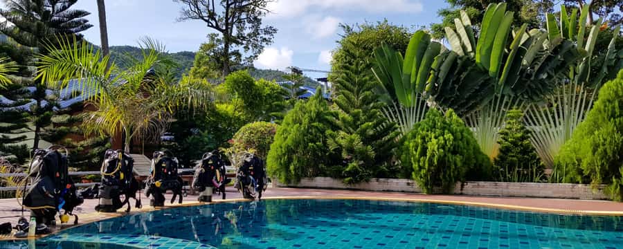 Koh Tao: PADI Premium Open Water Diver Course - Who should book this Koh Tao course?