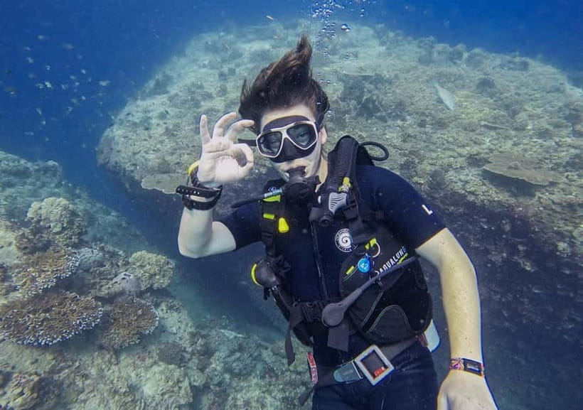 Koh Tao: PADI Try Diving Experience - Meeting Koh Tao’s reef life