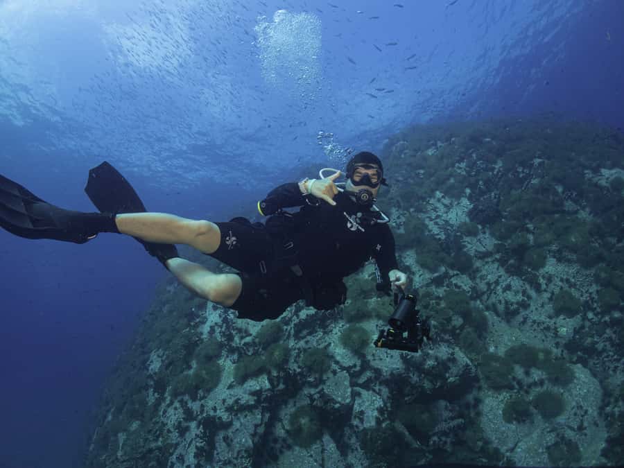 Koh Tao: Private Basic Diver Experience with 2 Dives - A gentle first step beneath Koh Tao