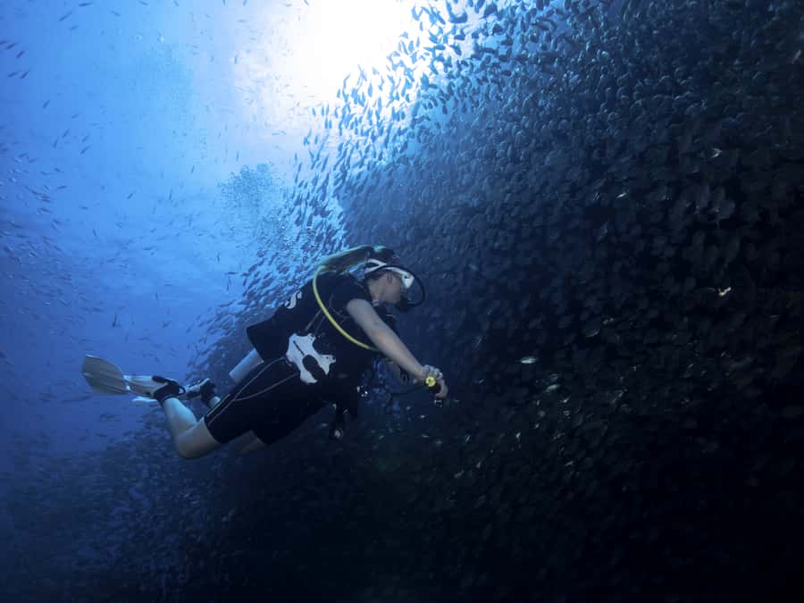 Koh Tao: Private Basic Diver Experience with 2 Dives - The two-hour classroom lesson