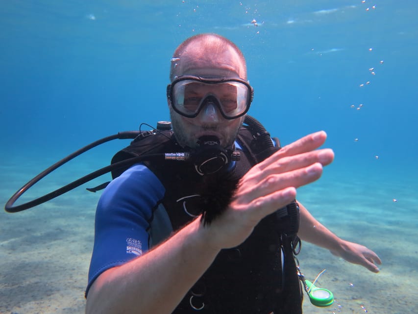 Kos: Beginner Scuba Diving from the Beach with Pickup - Key Points to Know Before You Book