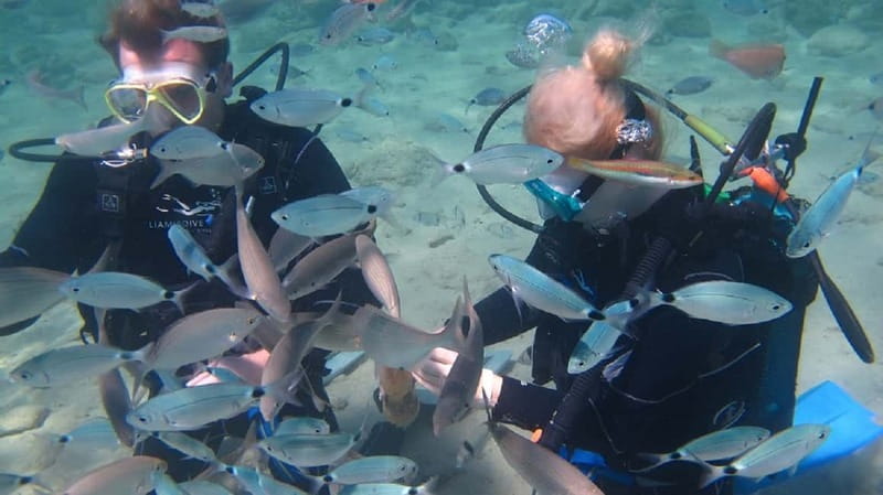 Kos: Try Scuba Diving with a diving boat - Why this Kos experience works for first-timers
