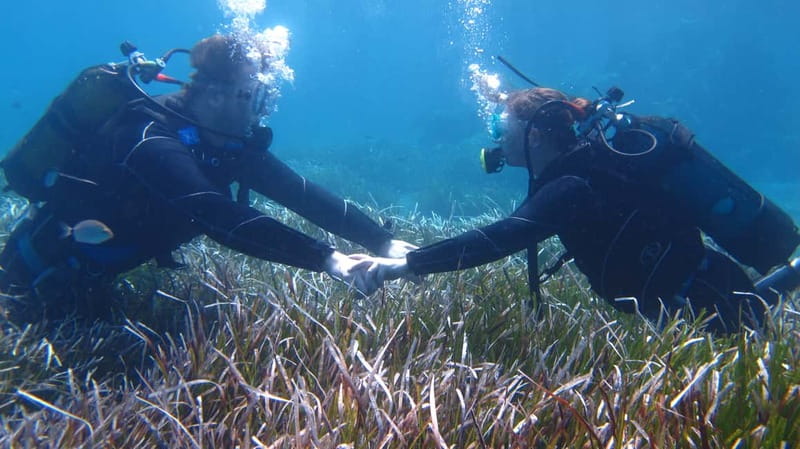 Kos: Try Scuba Diving with a diving boat - What the $123 price really covers