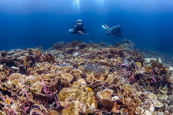 Kota Kinabalu Leisure Scuba Diving Trip (3 Dives) - The instructor and the value of local guidance