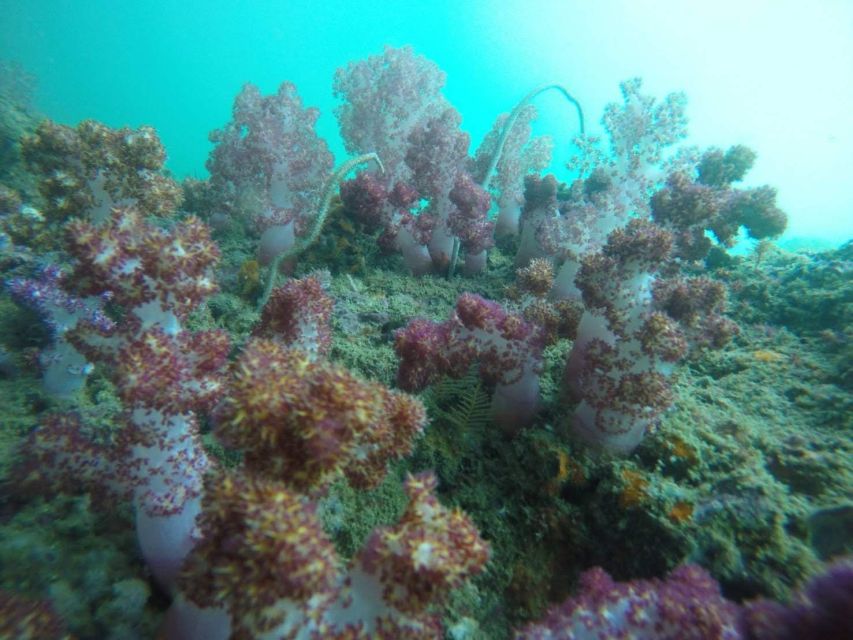 Krabi: Freediving and Snorkeling at Yawasam and Talu Island - Talu Island, the rock with a lagoon inside