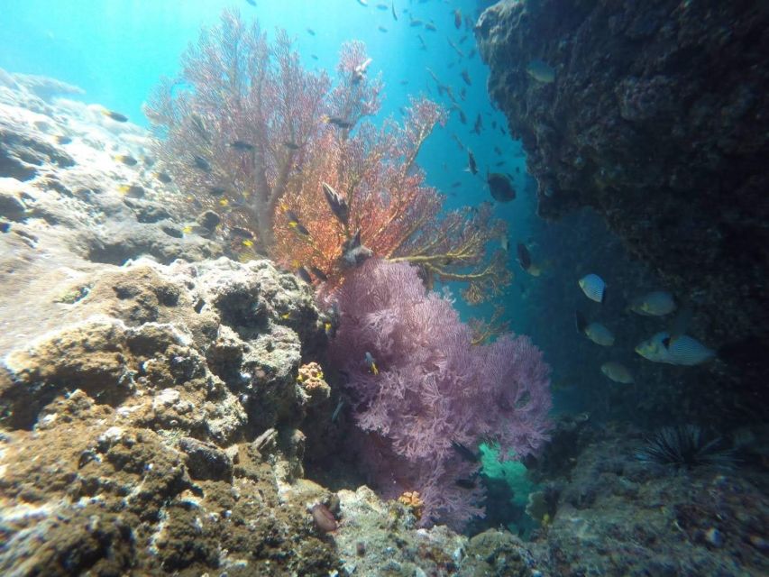 Krabi: Freediving and Snorkeling at Yawasam and Talu Island - A quieter side of Koh Poda at Buya Beach