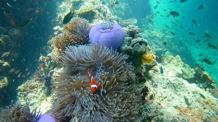 Krabi: Freediving and Snorkeling at Yawasam and Talu Island - Railay views on the slow ride home