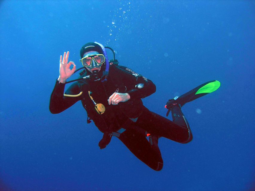Kusadasi: Scuba Diving for Beginner or Experienced w/ Lunch - The day at a glance