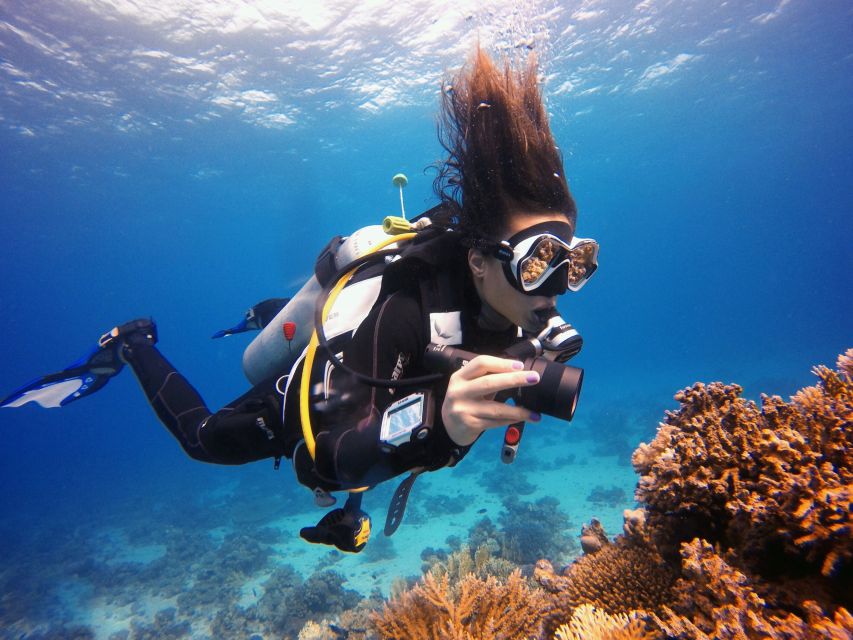 Kusadasi: Scuba Diving for Beginner or Experienced w/ Lunch - Lunch on the boat, with mixed results