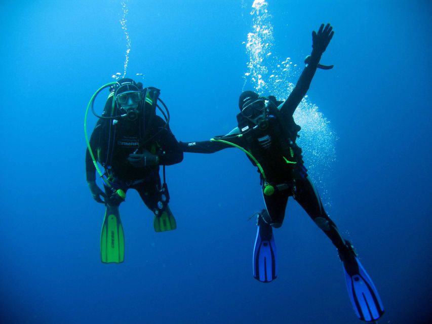 Kusadasi: Scuba Diving for Beginner or Experienced w/ Lunch - Choosing the underwater site