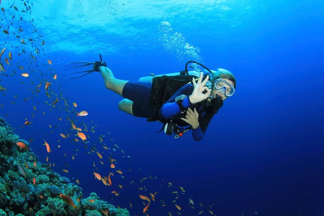 Kusadasi Scuba Diving Tour By Local Experts - Key points before you book