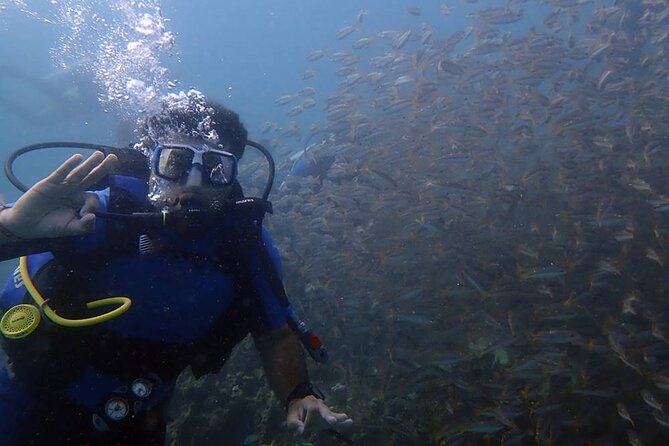 Kusadasi Scuba Diving Tour By Local Experts - Setting out from Kusadasi at 8:30 am