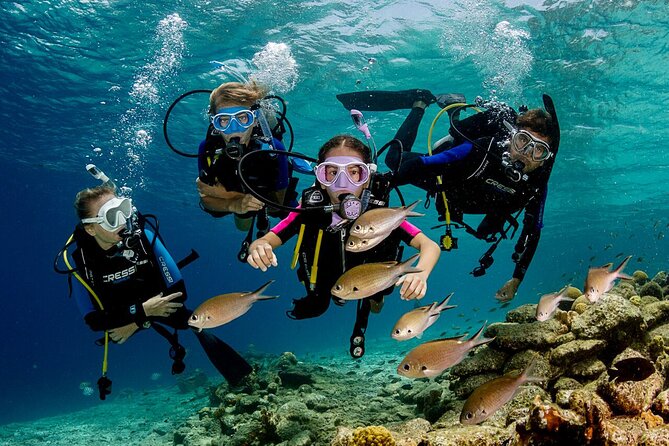 Kusadasi Scuba Diving Tour By Local Experts - Timing, pickup, and practical planning
