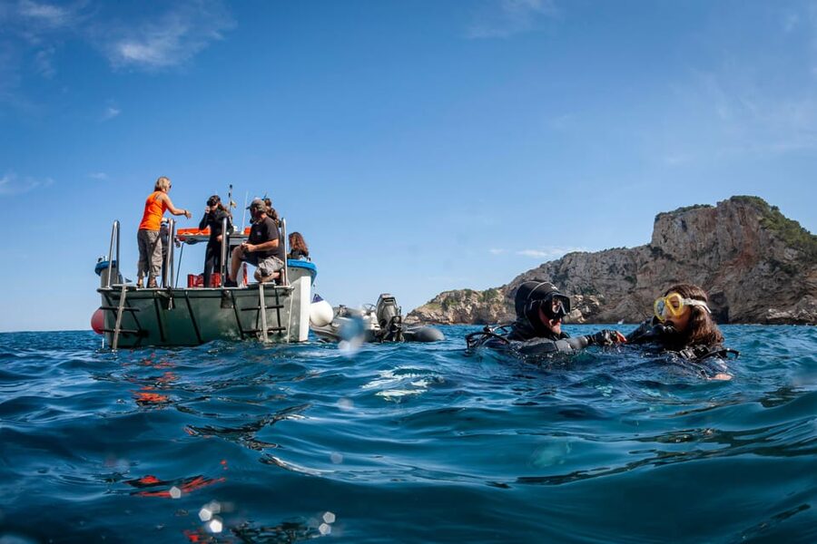 L'Estartit: Dive and Snorkeling in Montgrí Natural Park - Why Montgrí is a good place for a first underwater session