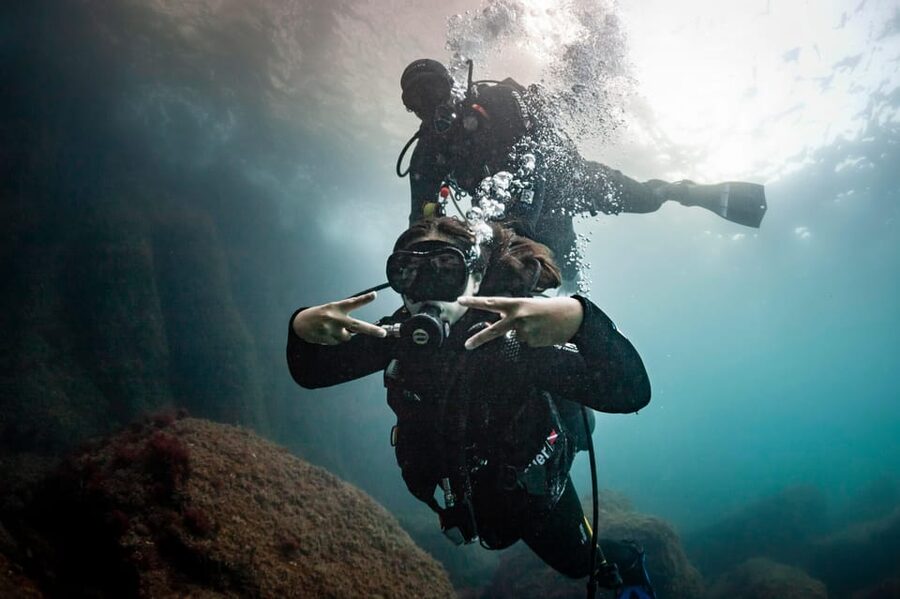 L'Estartit: Dive and Snorkeling in Montgrí Natural Park - Meeting at Medaqua in LEstartit