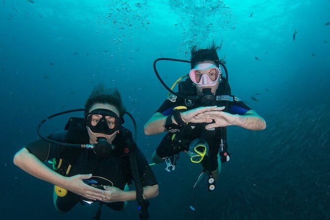 La Bombona Diving Koh Tao Open Water Course - Key points at a glance