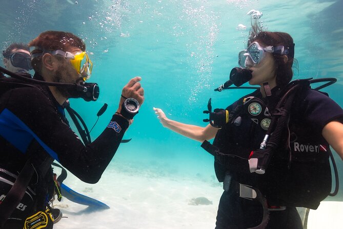 La Bombona Diving Koh Tao Open Water Course - Starting at Sairee Beach on Koh Tao
