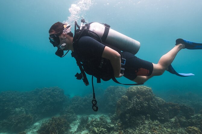La Bombona Diving Koh Tao Try Dive - Practicing in shallow water first