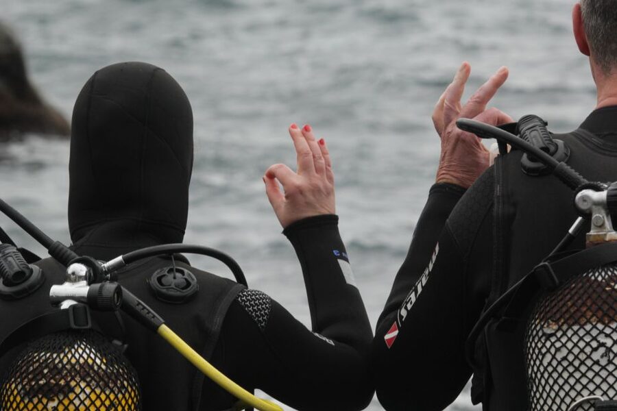 La Palma: Basic Diver Certification with 2 Atlantic Dives - The surface break gives you time to reset