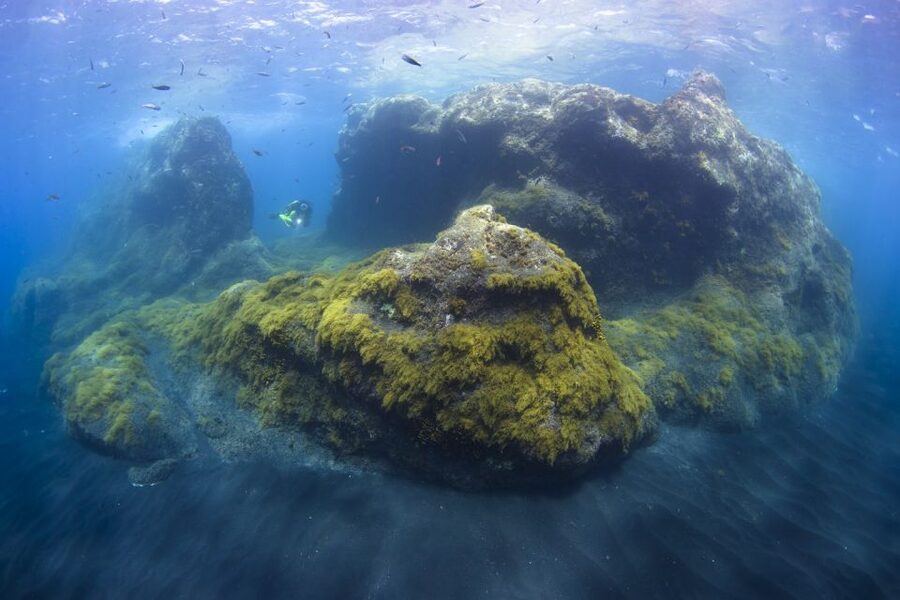 La Palma: SSI Try Scuba Program - Is $88 a fair price?