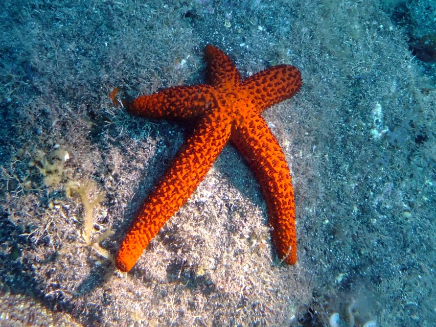 La Palma: SSI Try Scuba Program - What the instructor support is really worth