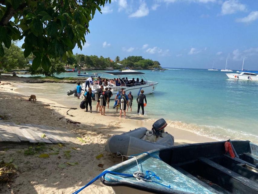 La Romana: 3-Day PADI Open Water Diver Course - Who Should Take This Course