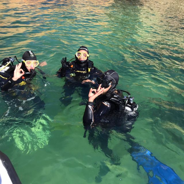 Lagos: Guided Scuba Diving Trip for Beginners - The 35-minute underwater session