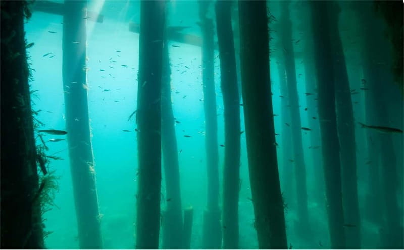 Lake Ohrid: Try Diving at the Bay of the Bones - Clear water, fish, and the remains of a settlement