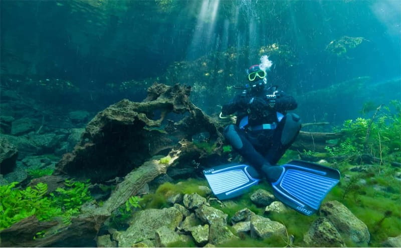Lake Ohrid: Try Diving at the Bay of the Bones - The main drawbacks to consider